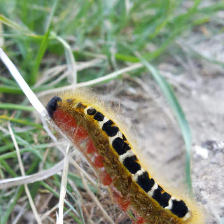 Ruyada Bacakta Yara Gormek