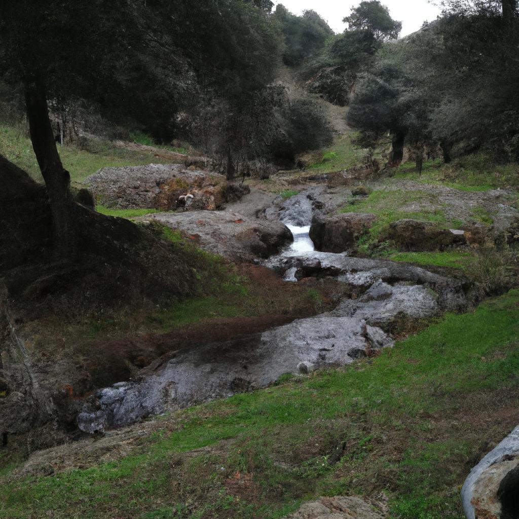 Ruyada Badana Yapmak