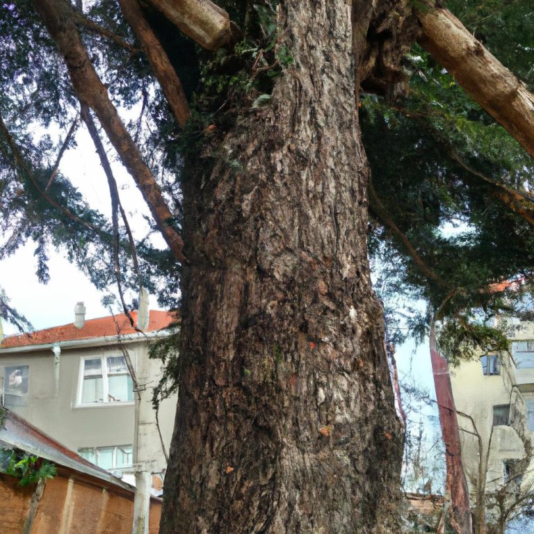 Ruyada Badem Agaci Gormek