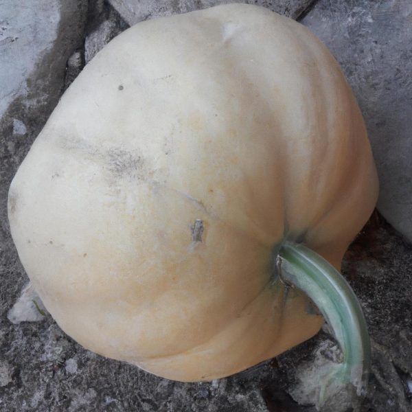 Ruyada Bal Kabagi Gormek