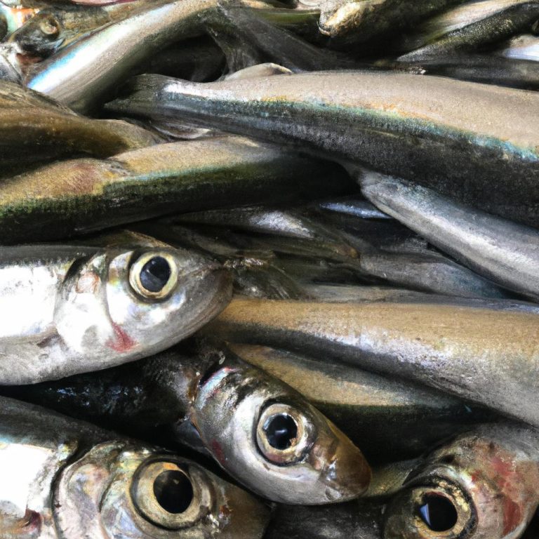 Ruyada Balik Avlamak