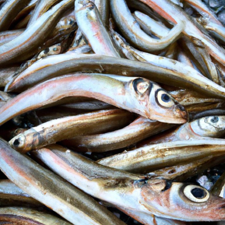 Ruyada Balik Ayiklamak