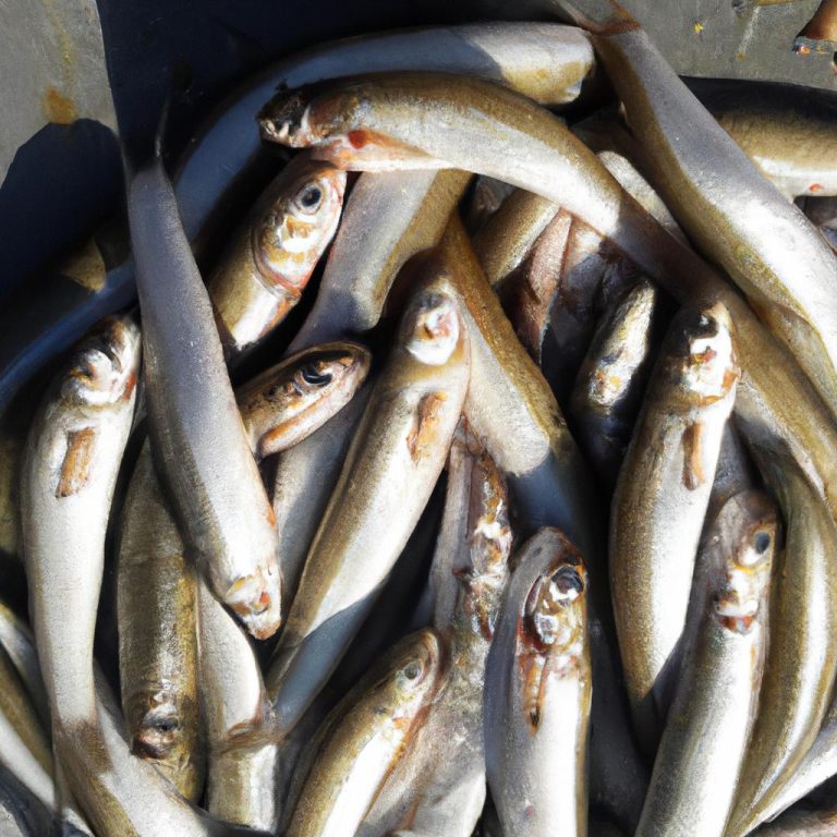 Ruyada Balik Gormek Ihya