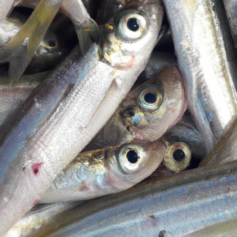 Ruyada Balik Gormek Ne Demek