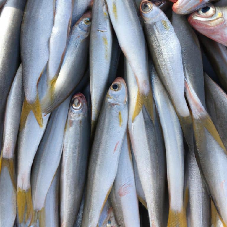 Ruyada Balik Gormek Ruya Tabirleri