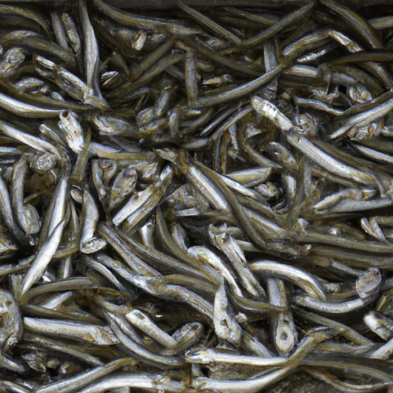 Ruyada Balik Satin Almak