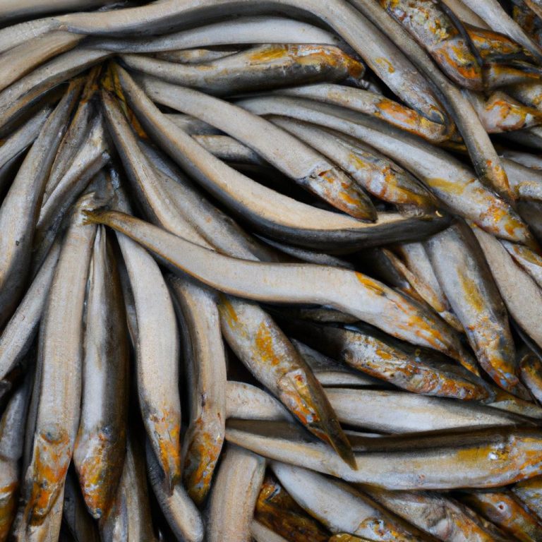 Ruyada Balik Toplamak