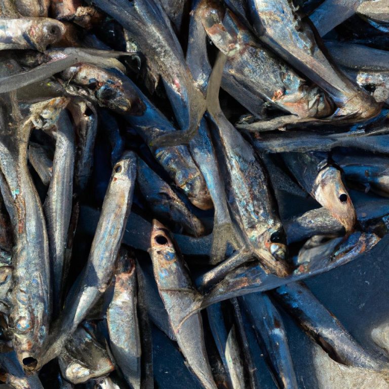 Ruyada Balik Tutmak Ne Demek