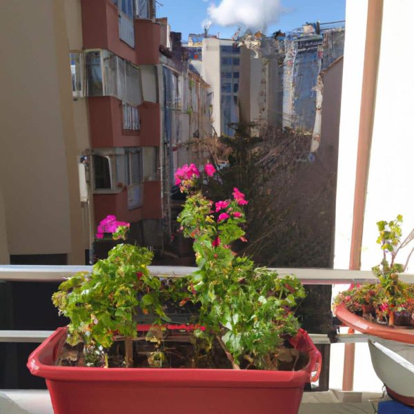 Ruyada Balkondan Dusen Birini Gormek