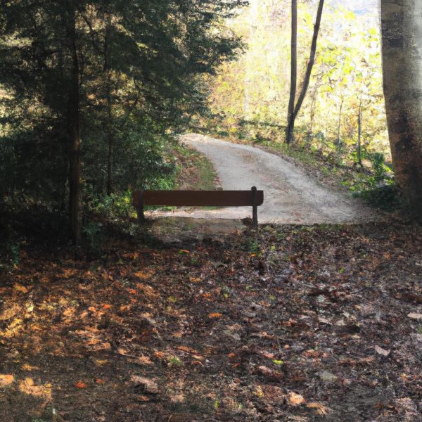 Ruyada Baska Sehre Gitmek