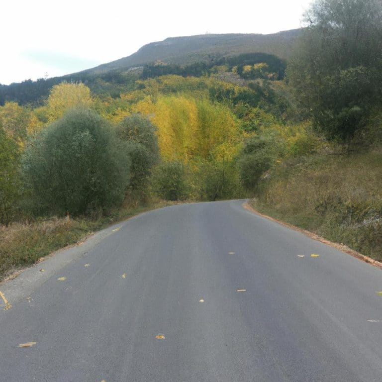 Ruyada Baska Ulkeye Gitmek