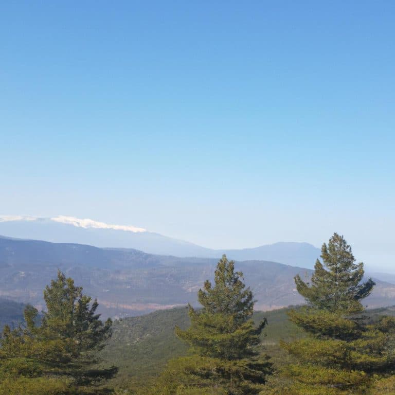 Ruyada Baskasi Icin Aglamak