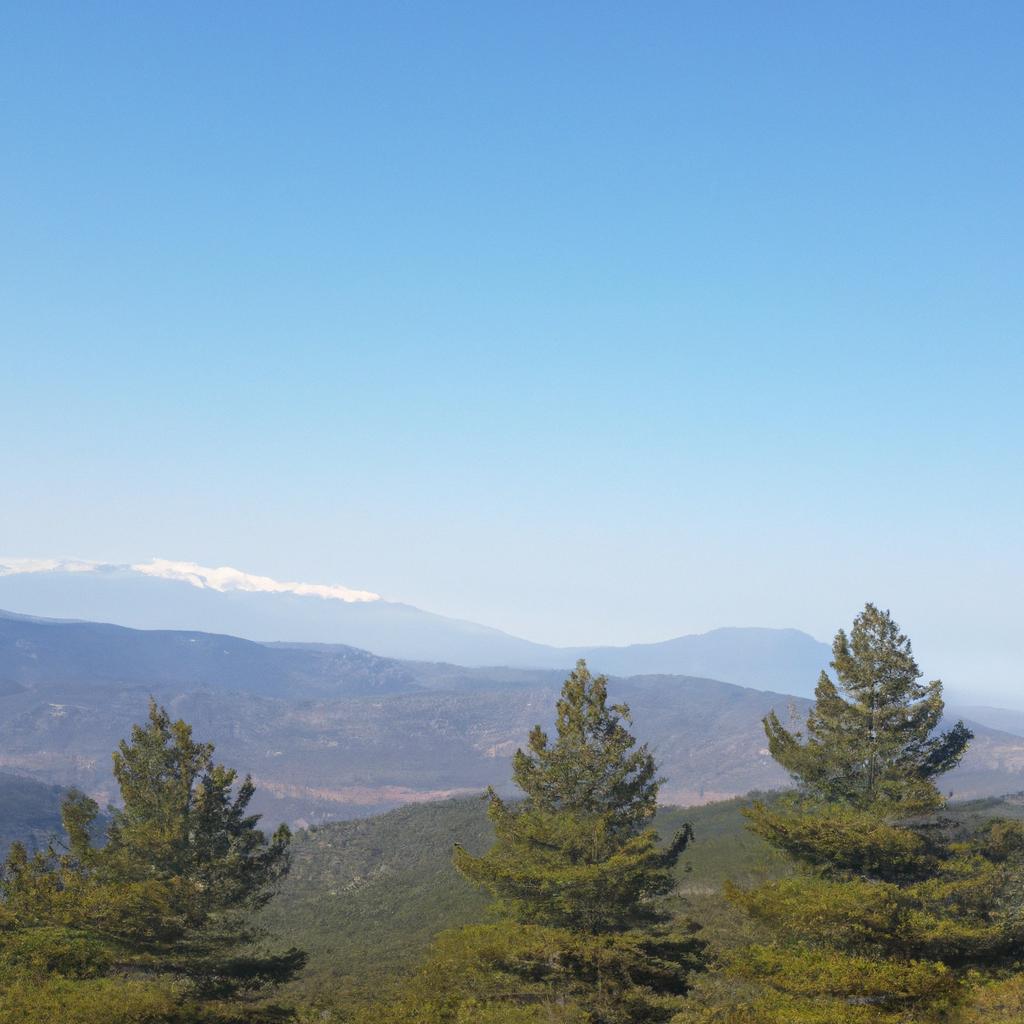 Ruyada Baskasi Icin Aglamak