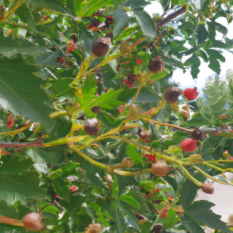 Ruyada Baskasindan Kan Aktigini Gormek