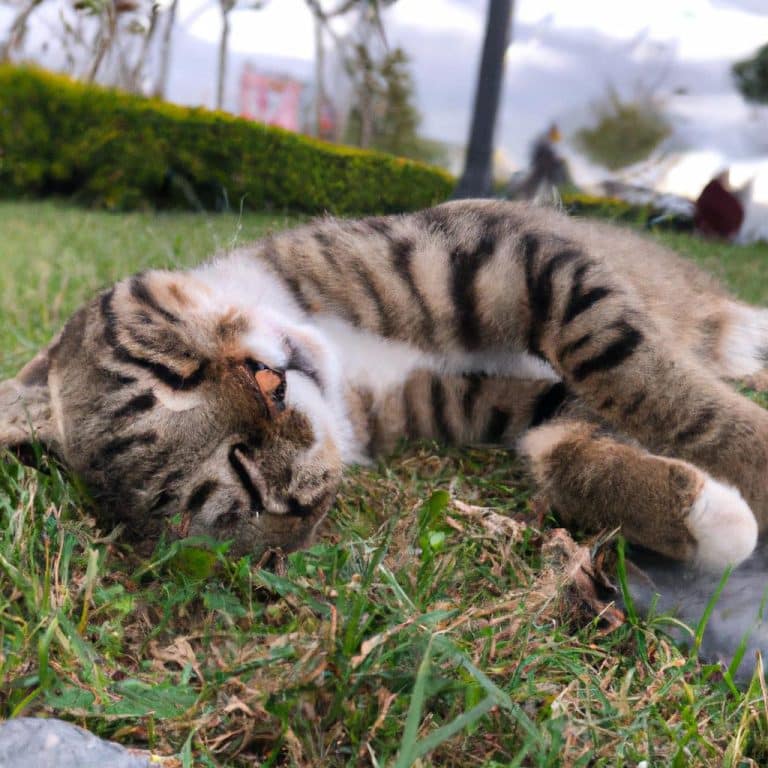 Ruyada Baskasinin Agladigini Gormek