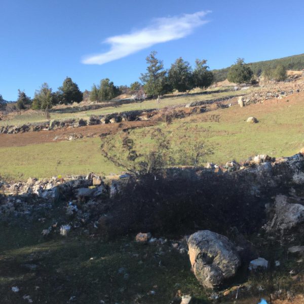 Ruyada Baskasinin Cis Yaptigini Gormek