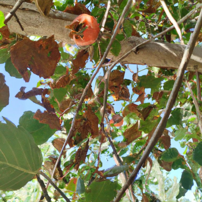 Ruyada Baskasinin Dustugunu Gormek