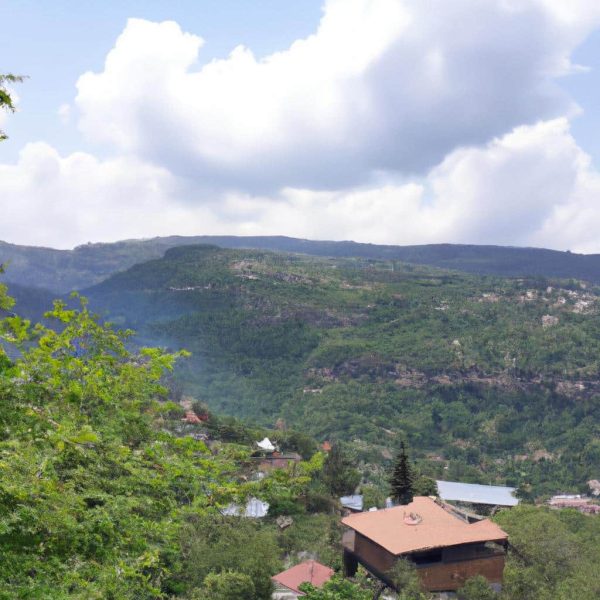 Ruyada Baskasinin Elinde Silah Gormek