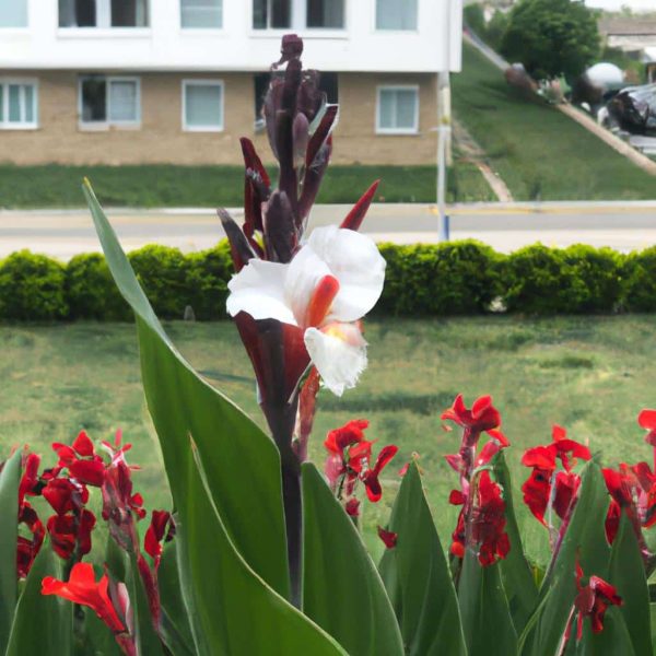 Ruyada Baskasinin Evinde Cig Et Gormek