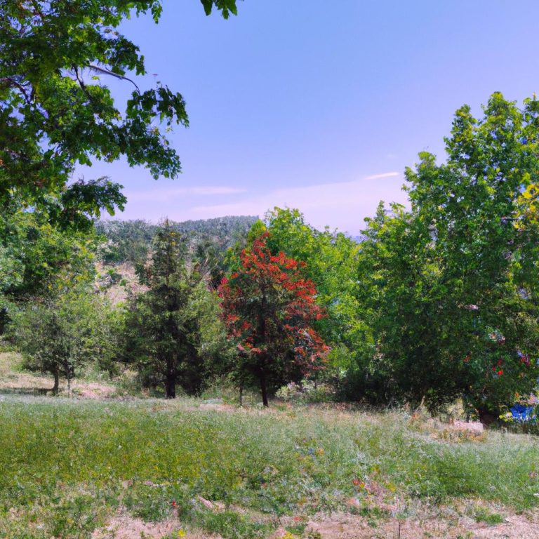 Ruyada Baskasinin Hali Yikadigini Gormek