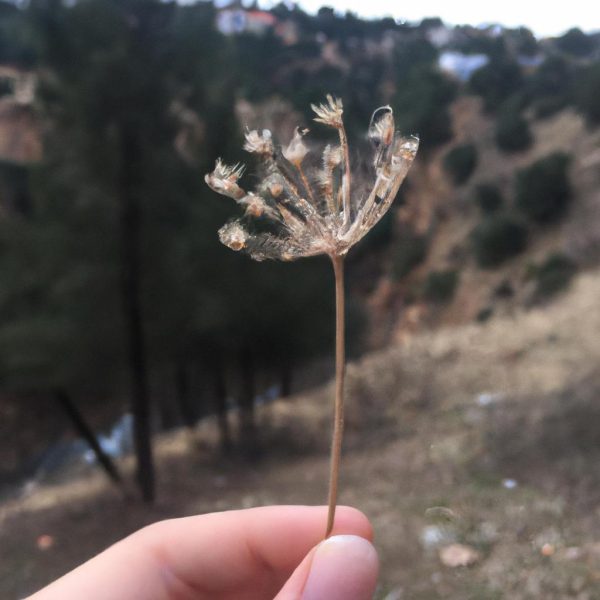 Ruyada Baskasinin Idrar Yaptigini Gormek