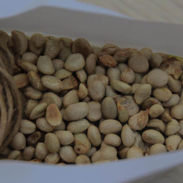 Ruyada Baskasinin Spermini Gormek