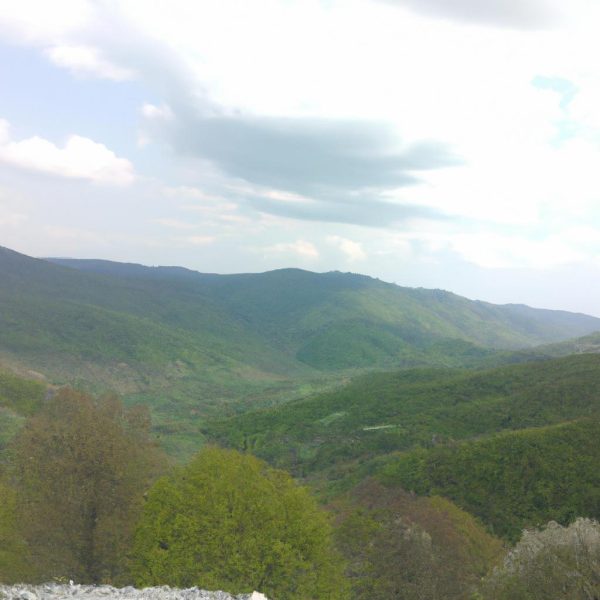 Ruyada Baskasiyla Iliskiye Girmek