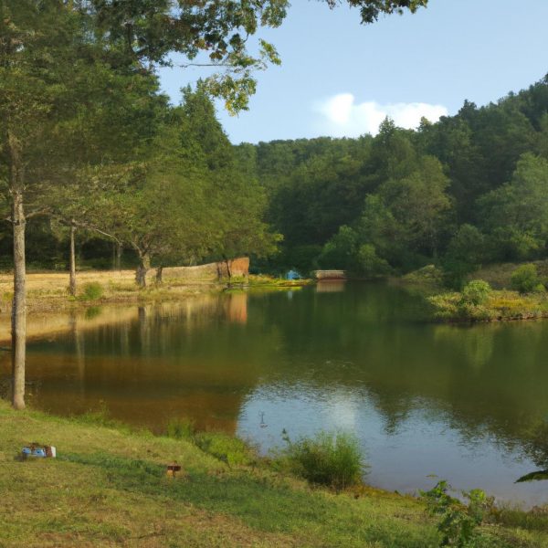 Ruyada Battaniye Almak