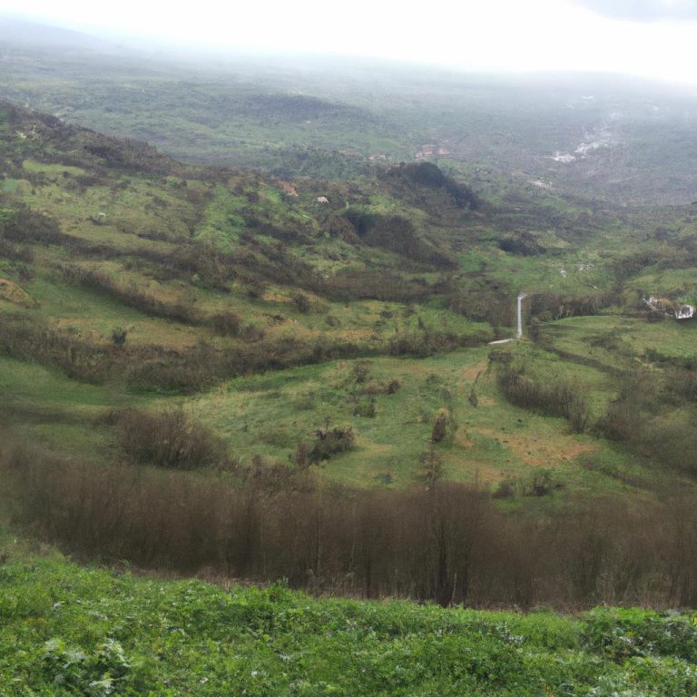 Ruyada Bavul Toplamak