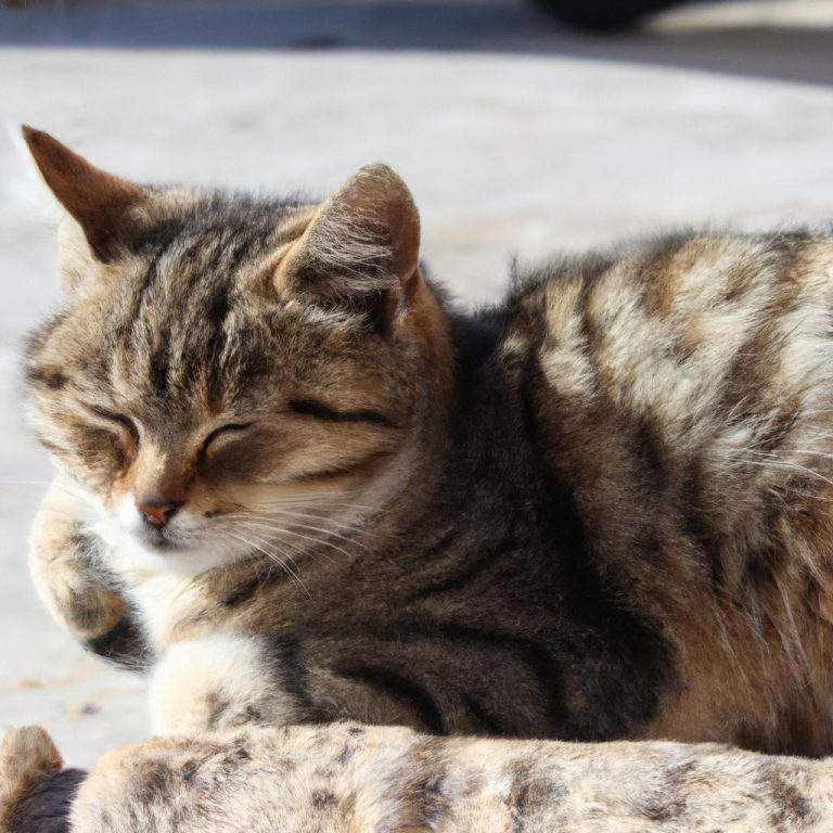 Ruyada Bayilmak Ne Demek