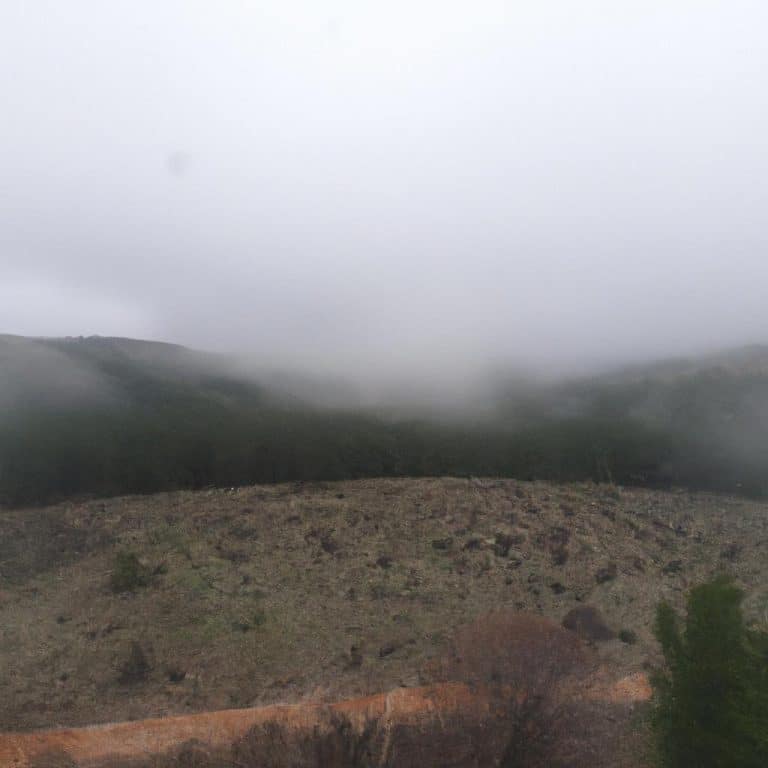 Ruyada Bekar Birini Hamile Gormek