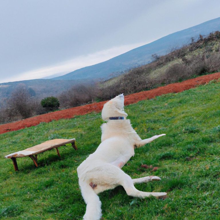 Ruyada Bekarken Hamile Oldugunu Gormek