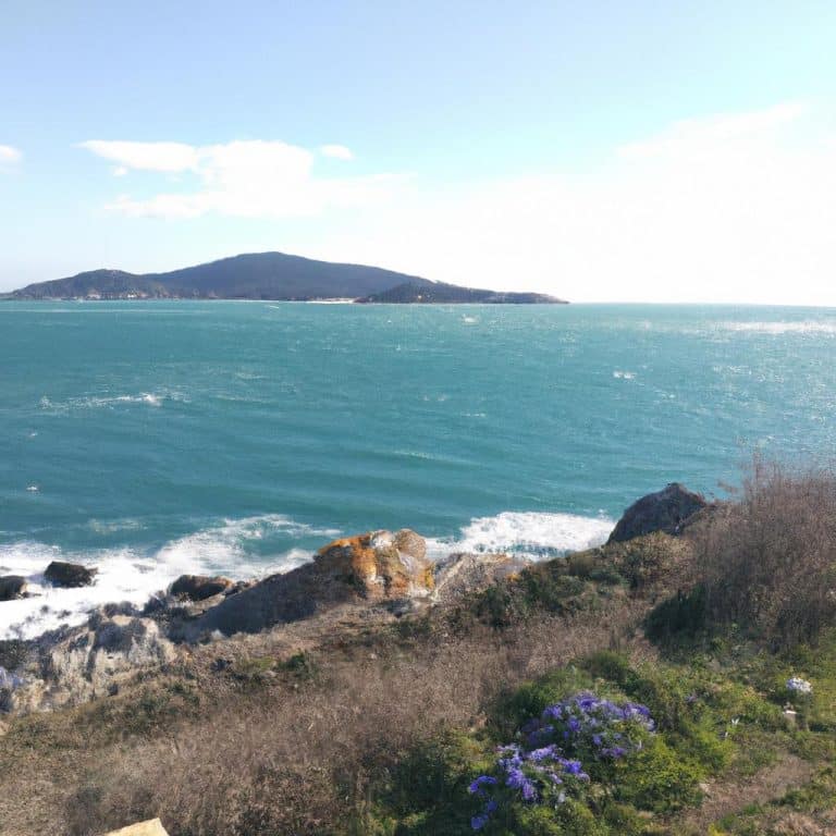 Ruyada Berrak Denizde Yuzmek