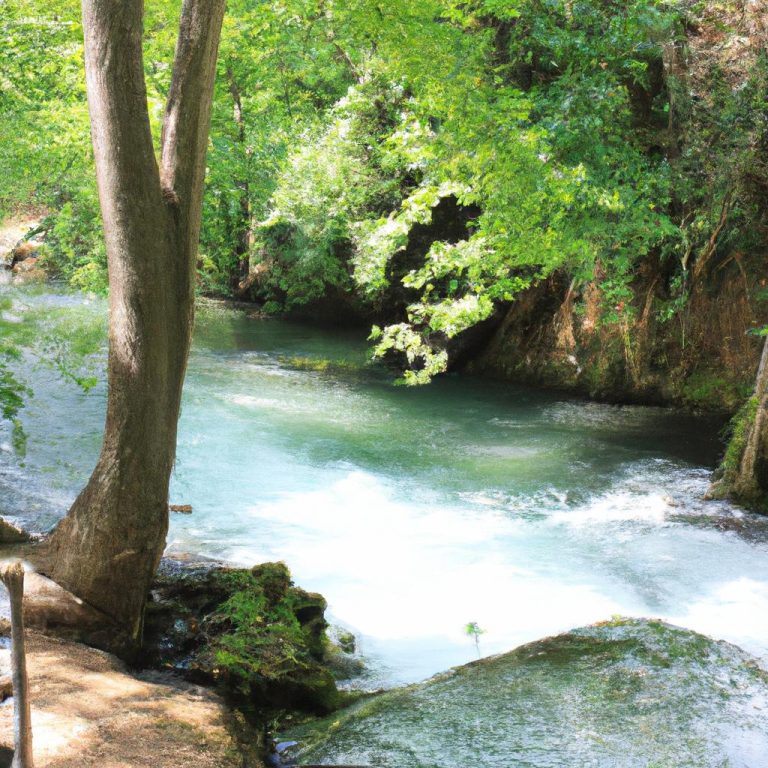 Ruyada Berrak Su Birikintisi Gormek