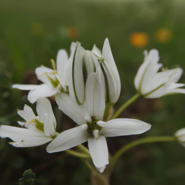 Ruyada Beyaz Akrep Gormek