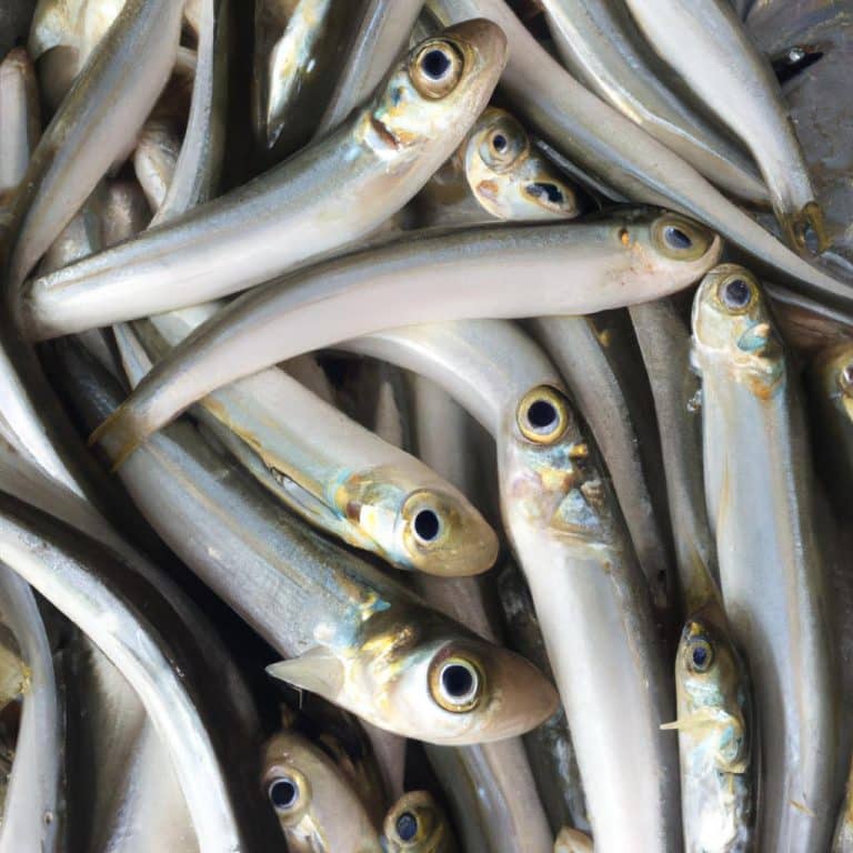 Ruyada Beyaz Balik Gormek