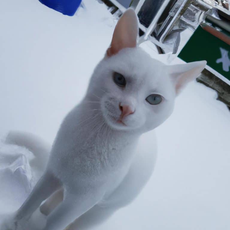 Ruyada Beyaz Etek Giymek