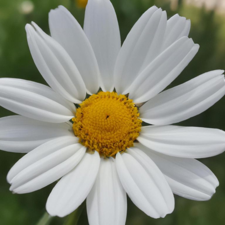 Ruyada Beyaz Gomlek Giymek