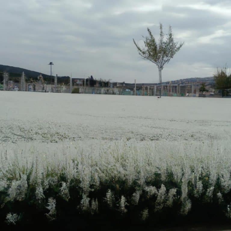 Ruyada Beyaz Havlu Gormek