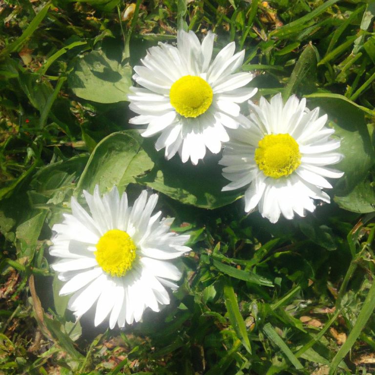 Ruyada Beyaz Kiyafet Gormek