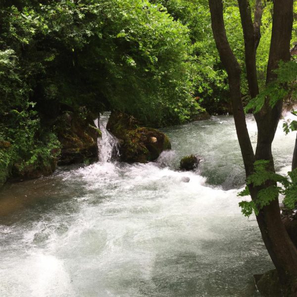 Ruyada Beyaz Su Gormek