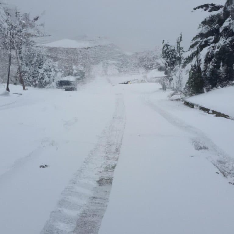 Ruyada Beyaz Yun Gormek