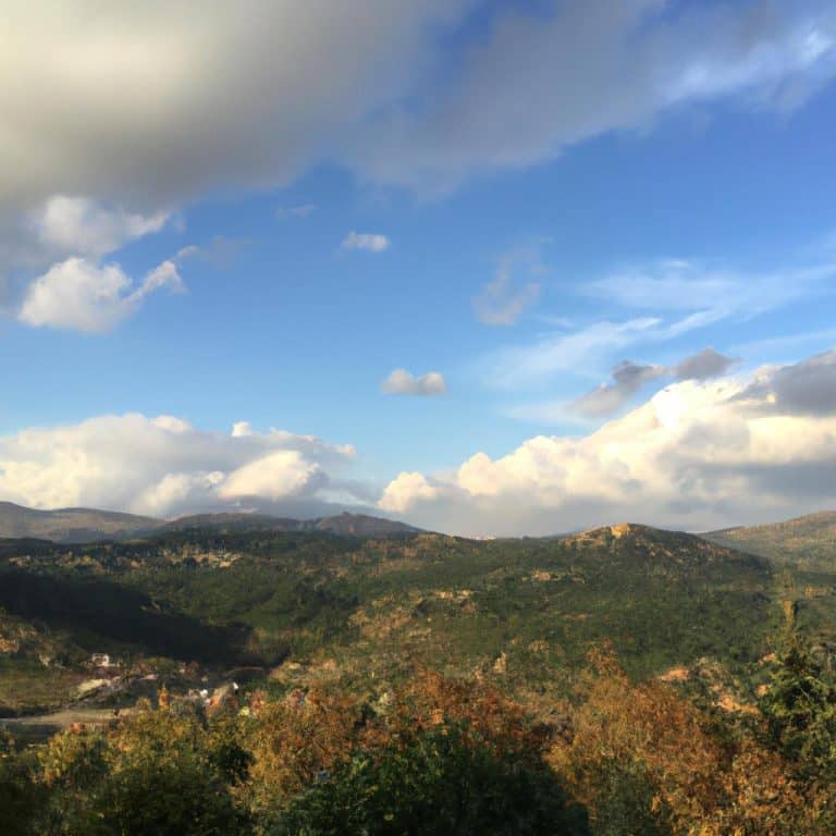 Ruyada Bicak Bilemek