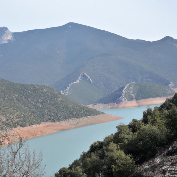 Ruyada Bicerdover Gormek