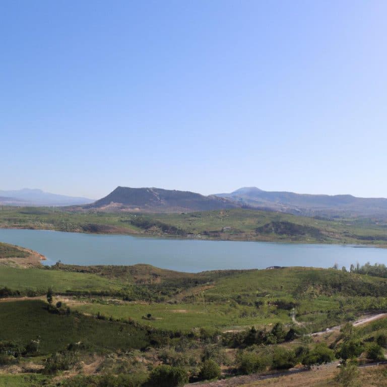 Ruyada Bildircin Gormek