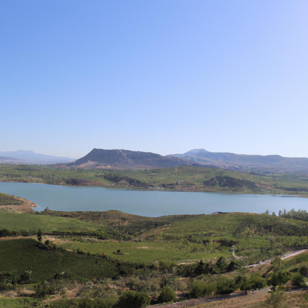 Ruyada Bildircin Gormek