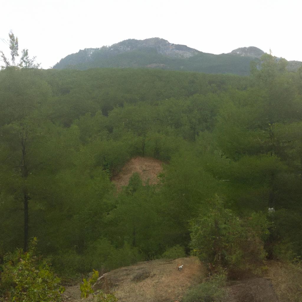 Ruyada Binanin Yikilmasi