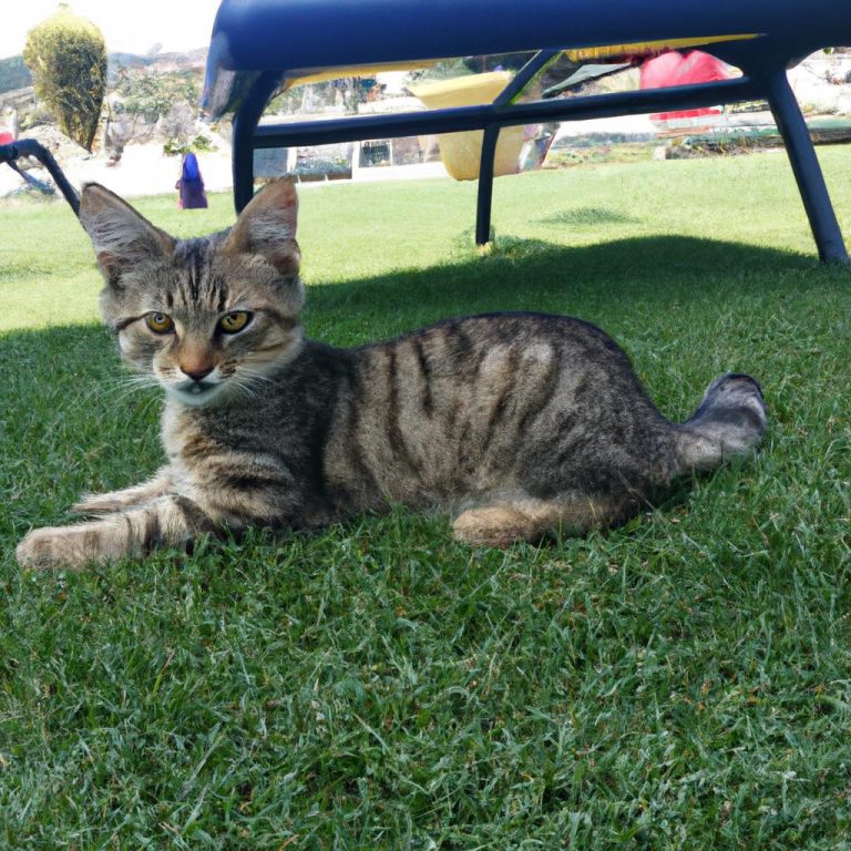 Ruyada Bir Arkadasini Gormek