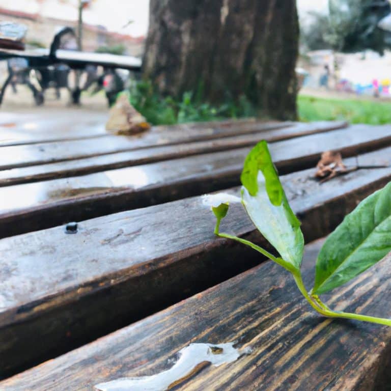 Ruyada Bir Ciftin Iliskiye Girdigini Gormek