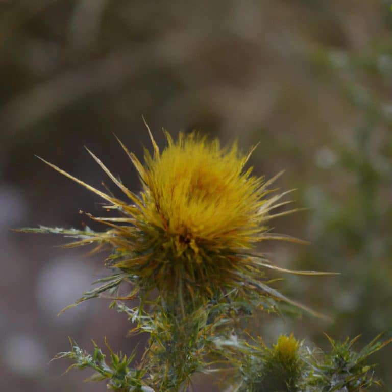 Ruyada Bir Erkege Sarilmak